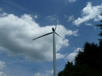 Hochwald 015