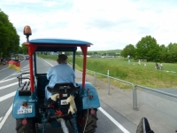Hochwald 017
