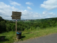 Hochwald 031