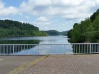 Hochwald 034