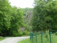 Hochwald 039