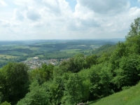 Hochwald102