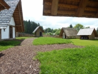 Hochwald60