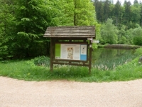 Hochwald62