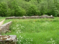 Hochwald67