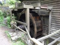 Hochwald69