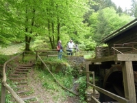 Hochwald70