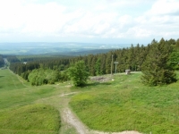 Hochwald83