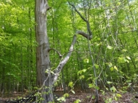 20160508_105452