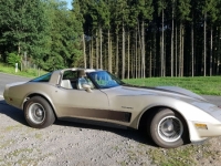 PanterWolfgangCorvetteC3