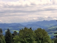 P1010993