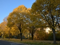 2015.10.31027
