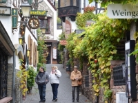 2014.11.02 Oldtimerfreunde Weinprobe 002