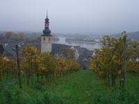 2014.11.02 Oldtimerfreunde Weinprobefahrt 016